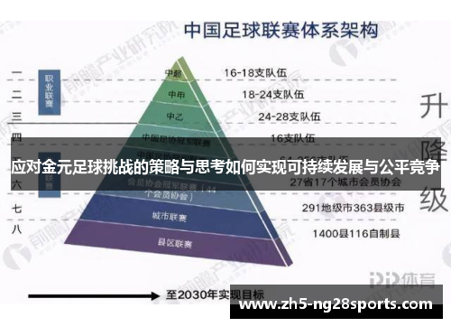 应对金元足球挑战的策略与思考如何实现可持续发展与公平竞争