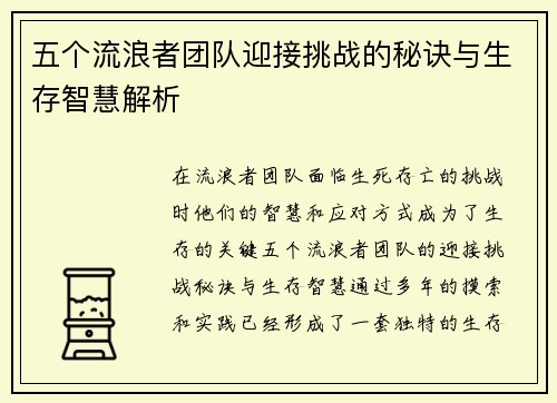 五个流浪者团队迎接挑战的秘诀与生存智慧解析