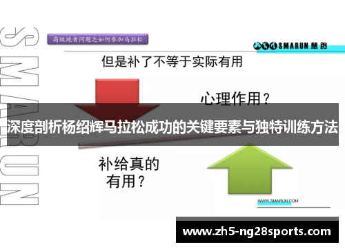 深度剖析杨绍辉马拉松成功的关键要素与独特训练方法