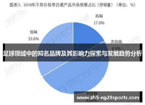 足球领域中的知名品牌及其影响力探索与发展趋势分析