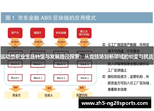 运动员职业生涯转型与发展路径探索:从竞技场到新领域的蜕变与挑战