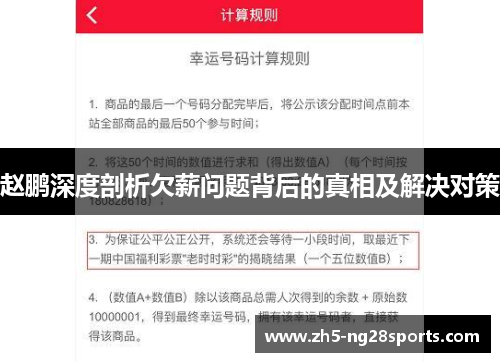 赵鹏深度剖析欠薪问题背后的真相及解决对策