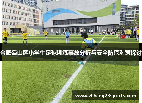 合肥蜀山区小学生足球训练事故分析与安全防范对策探讨