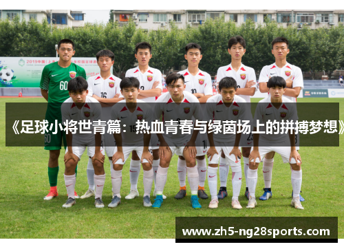 《足球小将世青篇:热血青春与绿茵场上的拼搏梦想》