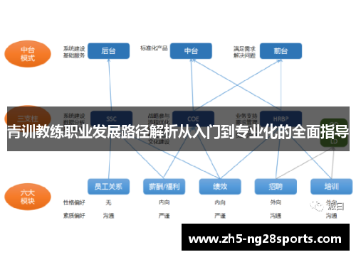 青训教练职业发展路径解析从入门到专业化的全面指导