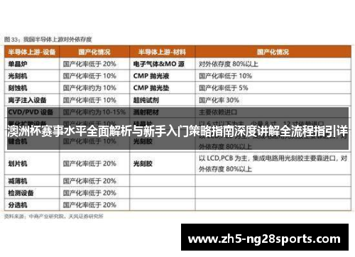 澳洲杯赛事水平全面解析与新手入门策略指南深度讲解全流程指引详