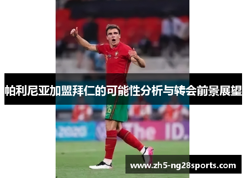 帕利尼亚加盟拜仁的可能性分析与转会前景展望